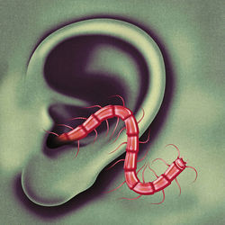 At The End On The Stairs Bass Tab by Thee Oh Sees