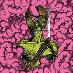 Chem Farmer by Thee Oh Sees