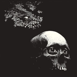 Fucking Kill Me Bass Tab by Thee Oh Sees