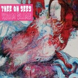 Warm Slime Bass Tab by Thee Oh Sees