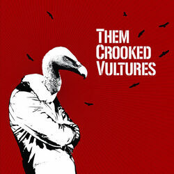Spinning In Daffodils by Them Crooked Vultures