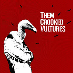 Spinning In Daffodils Tab by Them Crooked Vultures