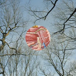 No Answer by They Might Be Giants