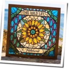 Come Back Down Chords by This Wild Life