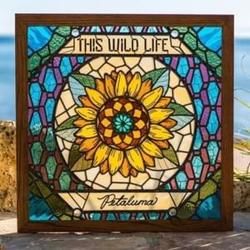 No Need For Novocaine Chords by This Wild Life