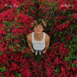 Wildflower Chords by Thomas Day
