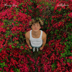 Wildflower Chords by Thomas Day
