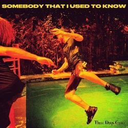 Somebody That I Used To Know by Three Days Grace