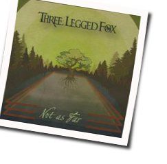 Slow Down Chords by Three Legged Fox
