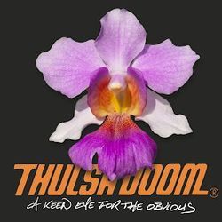 Lady Nina Chords by Thulsa Doom
