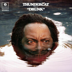 Captain Stupido Bass tabs by Thundercat