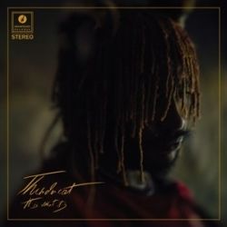 Existential Dread Bass tabs by Thundercat