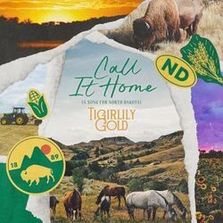 Call It Home A Song For North Dakota Chords by Tigirlily Gold