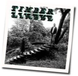 I Get Low Bass Tab by Timber Timbre