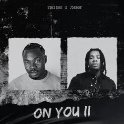 On You by Timi Dre