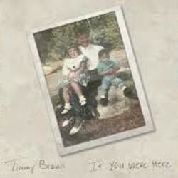 If You Were Here by Timmy Brown