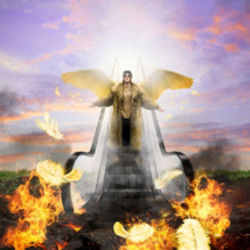 Fallen Angel Chords by TIX