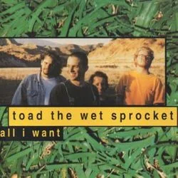 All In All Chords by Toad The Wet Sprocket