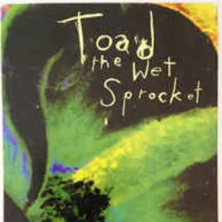 Somethings Always Wrong Tab by Toad The Wet Sprocket