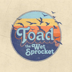 Big Changes Acoustic Live by Toad The Wet Sprocket