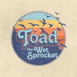Big Changes Acoustic Live Chords by Toad The Wet Sprocket