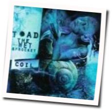Come Down Chords by Toad The Wet Sprocket