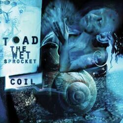 Don't Fade Chords by Toad The Wet Sprocket