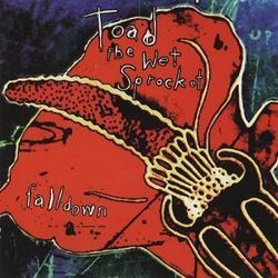 Fall Down Chords by Toad The Wet Sprocket