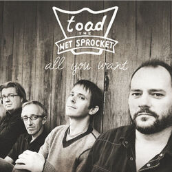 Good Intentions Acoustic Chords by Toad The Wet Sprocket