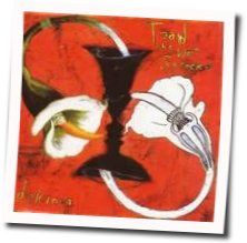 I'll Bet On You Chords by Toad The Wet Sprocket