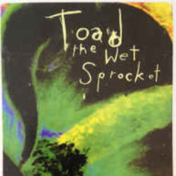 Somethings Always Wrong by Toad The Wet Sprocket