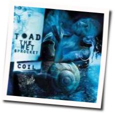 Throw It All Away Tab by Toad The Wet Sprocket