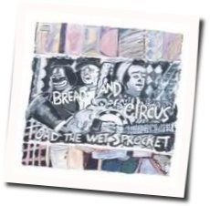 Torn Chords by Toad The Wet Sprocket