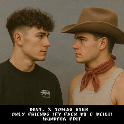 Fy Faen Du E Deili Chords by Tobias Sten