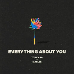 Everything About You by TobyMac