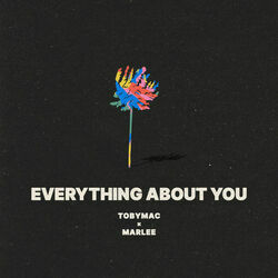 Everything About You Chords by TobyMac