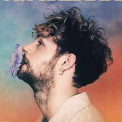 Remind Me Chords by Tom Grennan