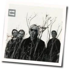 Rhino Skin Chords by Tom Petty And The Heartbreakers