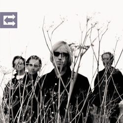 Room At The Top Solo Tab by Tom Petty And The Heartbreakers