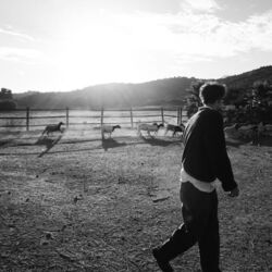 I Think Of You The Whole Time Chords by Tom Siletto