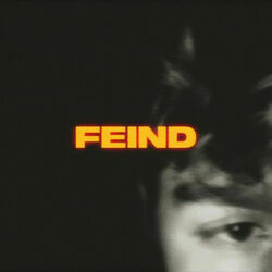 Feind by Tom Twers