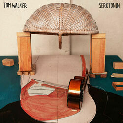 Serotonin Chords by Tom Walker