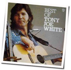 I Want My Fleetwood Back Chords by Tony Joe White