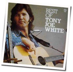 I Want My Fleetwood Back by Tony Joe White