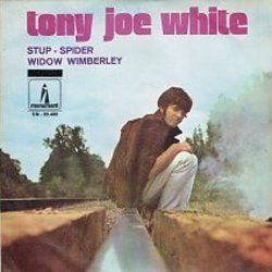 Stud Spider Chords by Tony Joe White