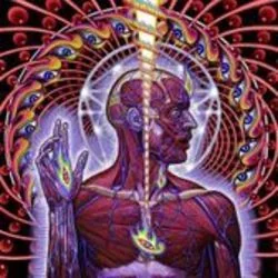 The Patient Chords by Tool