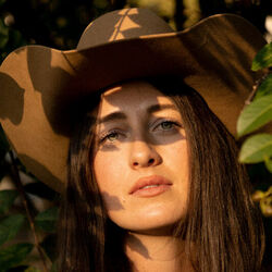 Boston Mountains Chords by Tori Miller