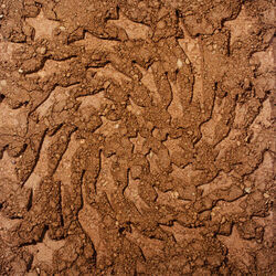 Madonna Unerthed Chords by Toro Y Moi