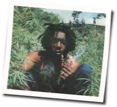 Testify by Peter Tosh