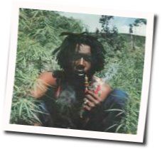 Testify Chords by Peter Tosh